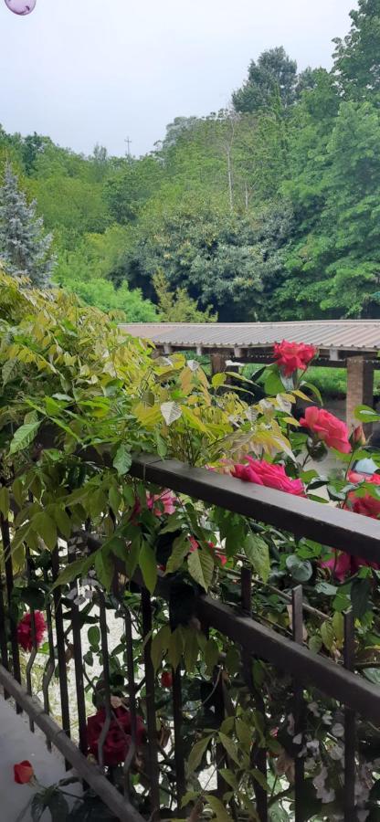 Il Giardino Del Gallo 凯拉斯科 外观 照片