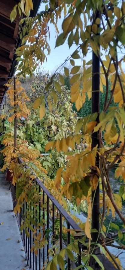 Il Giardino Del Gallo 凯拉斯科 外观 照片
