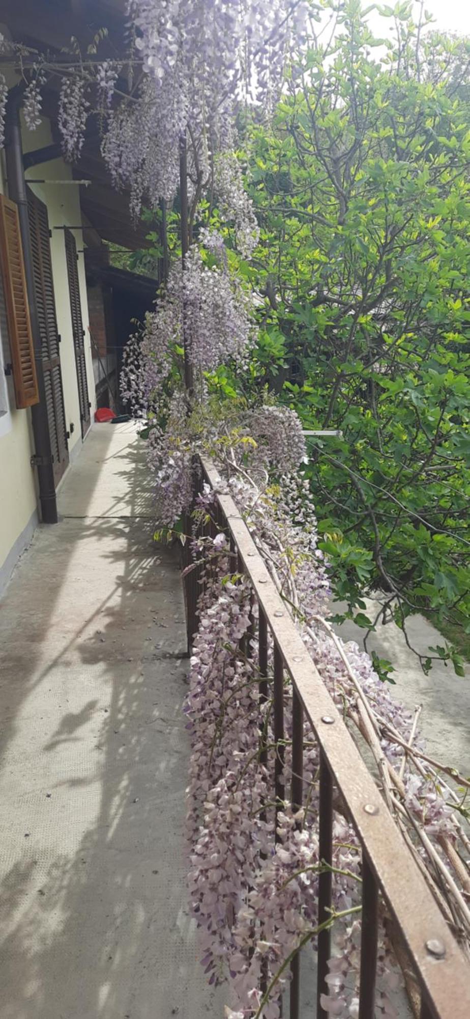 Il Giardino Del Gallo 凯拉斯科 外观 照片