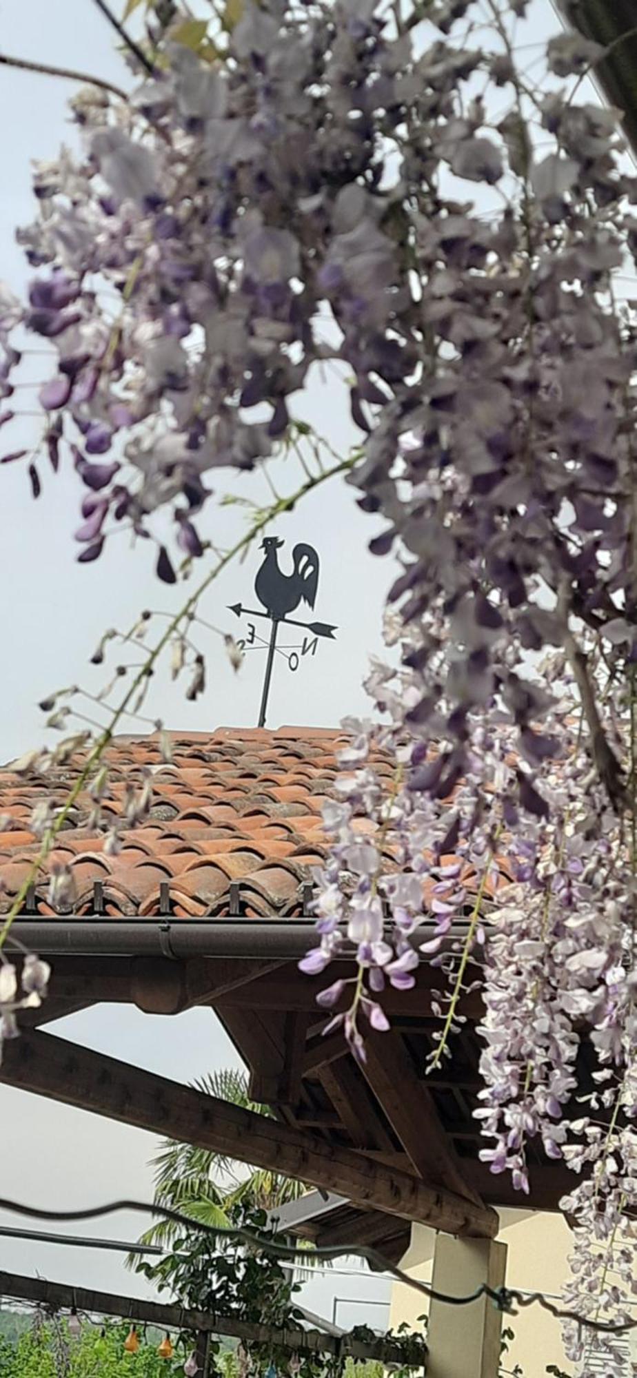 Il Giardino Del Gallo 凯拉斯科 外观 照片