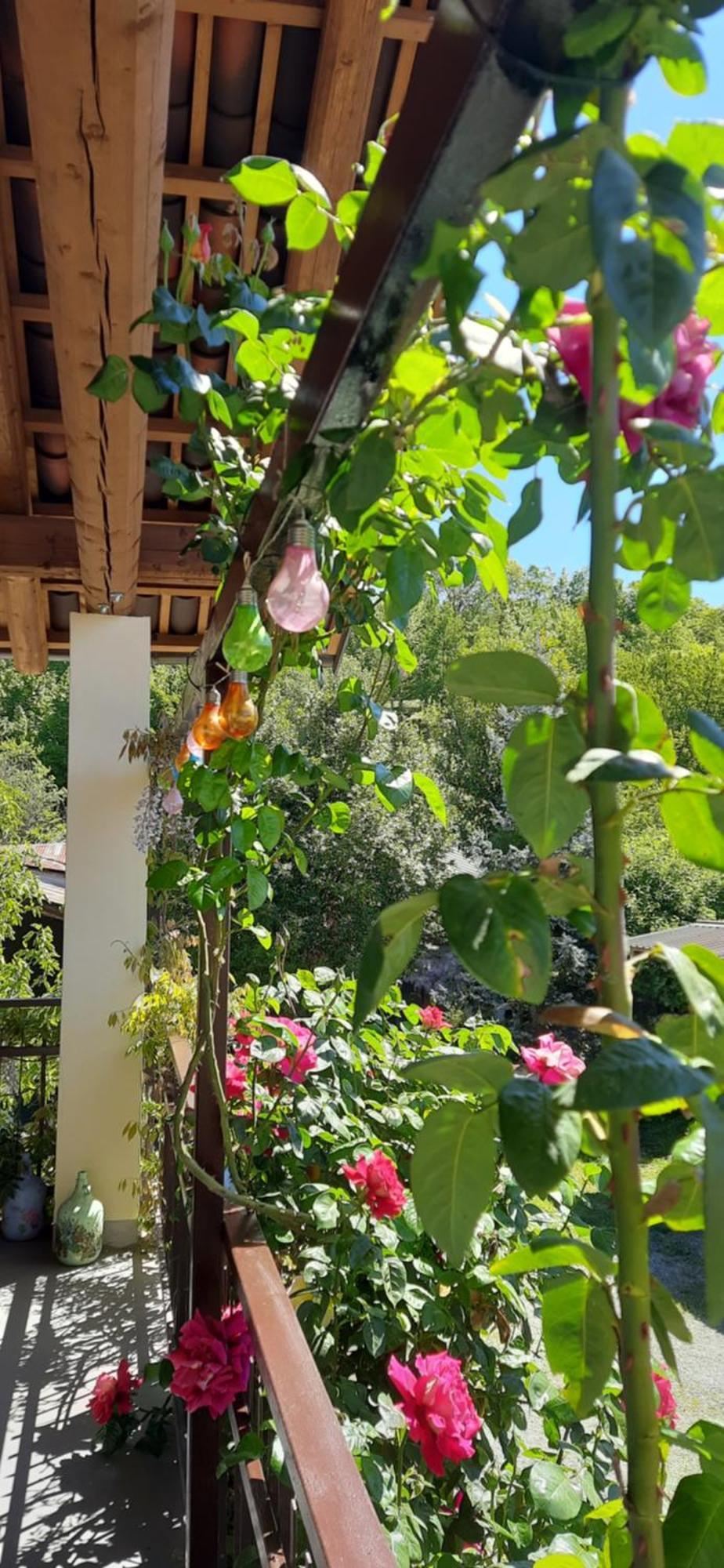 Il Giardino Del Gallo 凯拉斯科 外观 照片