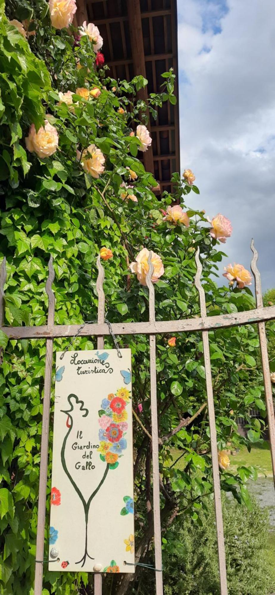 Il Giardino Del Gallo 凯拉斯科 外观 照片