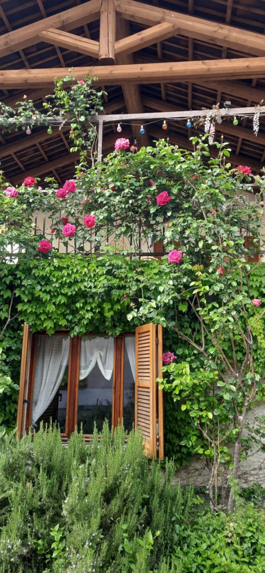 Il Giardino Del Gallo 凯拉斯科 外观 照片